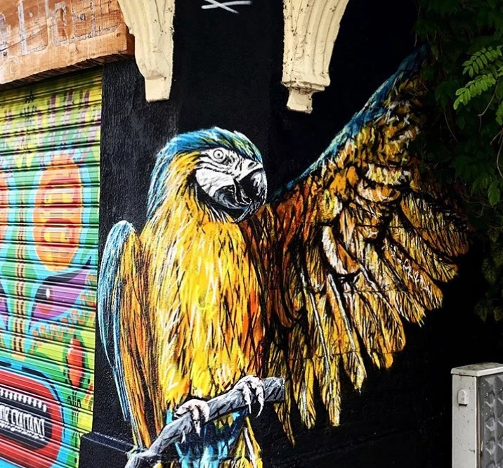 Un graffiti d'un perroquet sur un mur par A-Mo